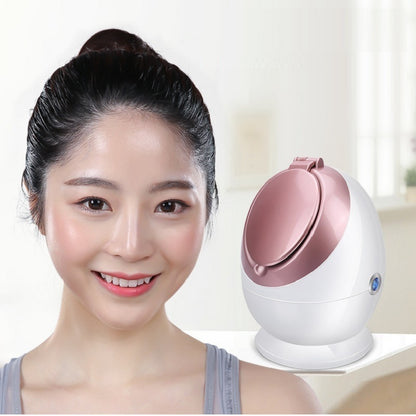 Nano ionic facial steamer