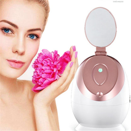 Nano ionic facial steamer